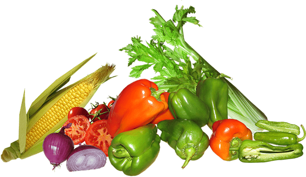 YoloSprout Organic Farming